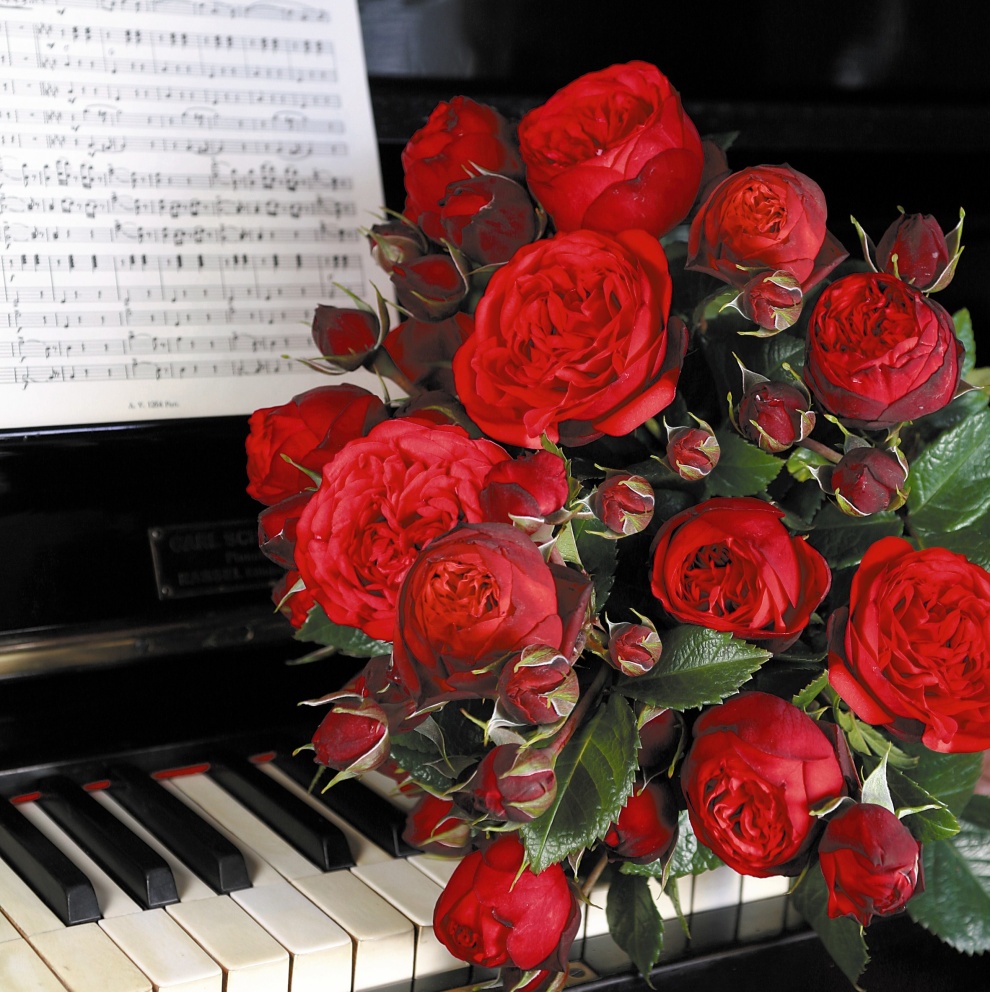 ROYAL PIANO