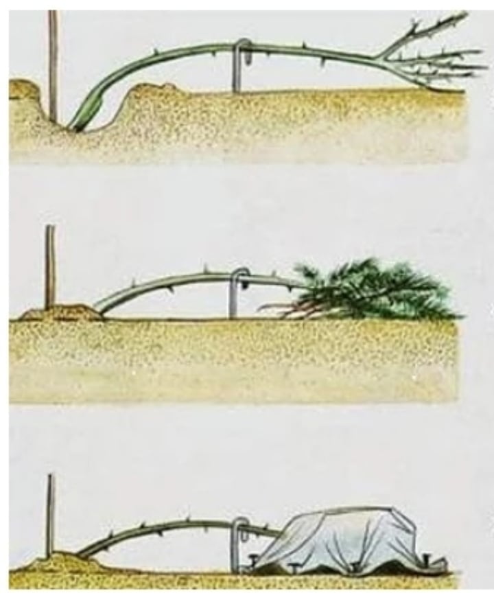 261920338_623650928954775_4652232859751103028_n