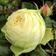 1637905401_9531c0afd7184825ae0f2e2f5e23605d